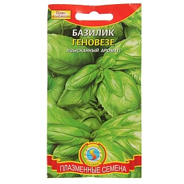 Семена Базилик