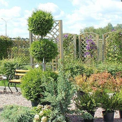 Композиция №3