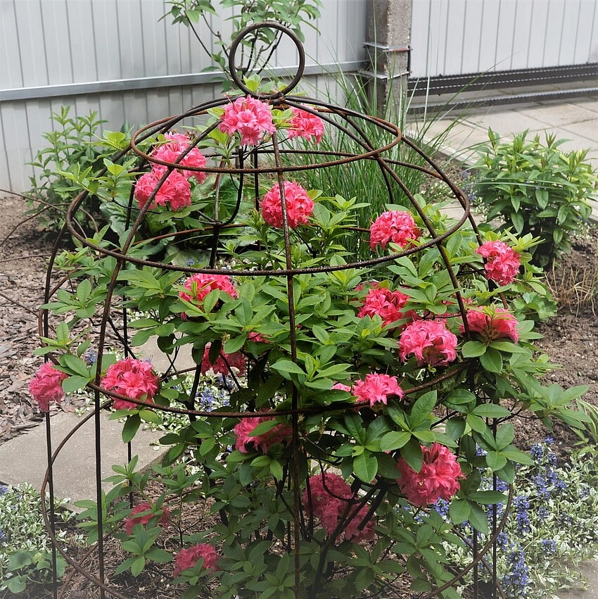 Клетка для розы Н=1600, Д-660