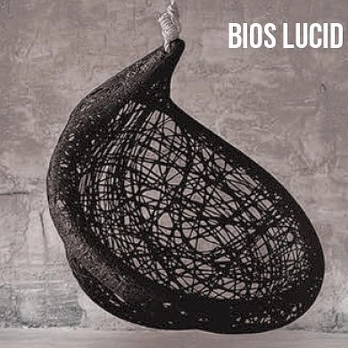 Кресло подвесное BIOS LUCID (Базальт)