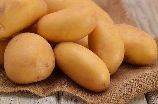 Картофель семенной ГУЛЛИВЕР (суперэлита) 