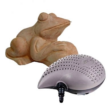 Фонтан Принц-лягушка