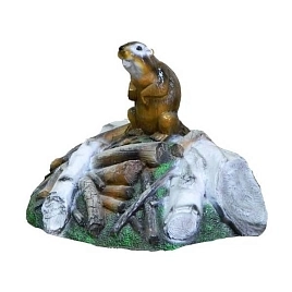 Крышка люка Бобер на запруде F07095