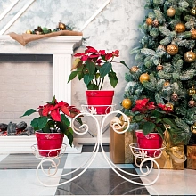 Подставка напольная на 3 горшка