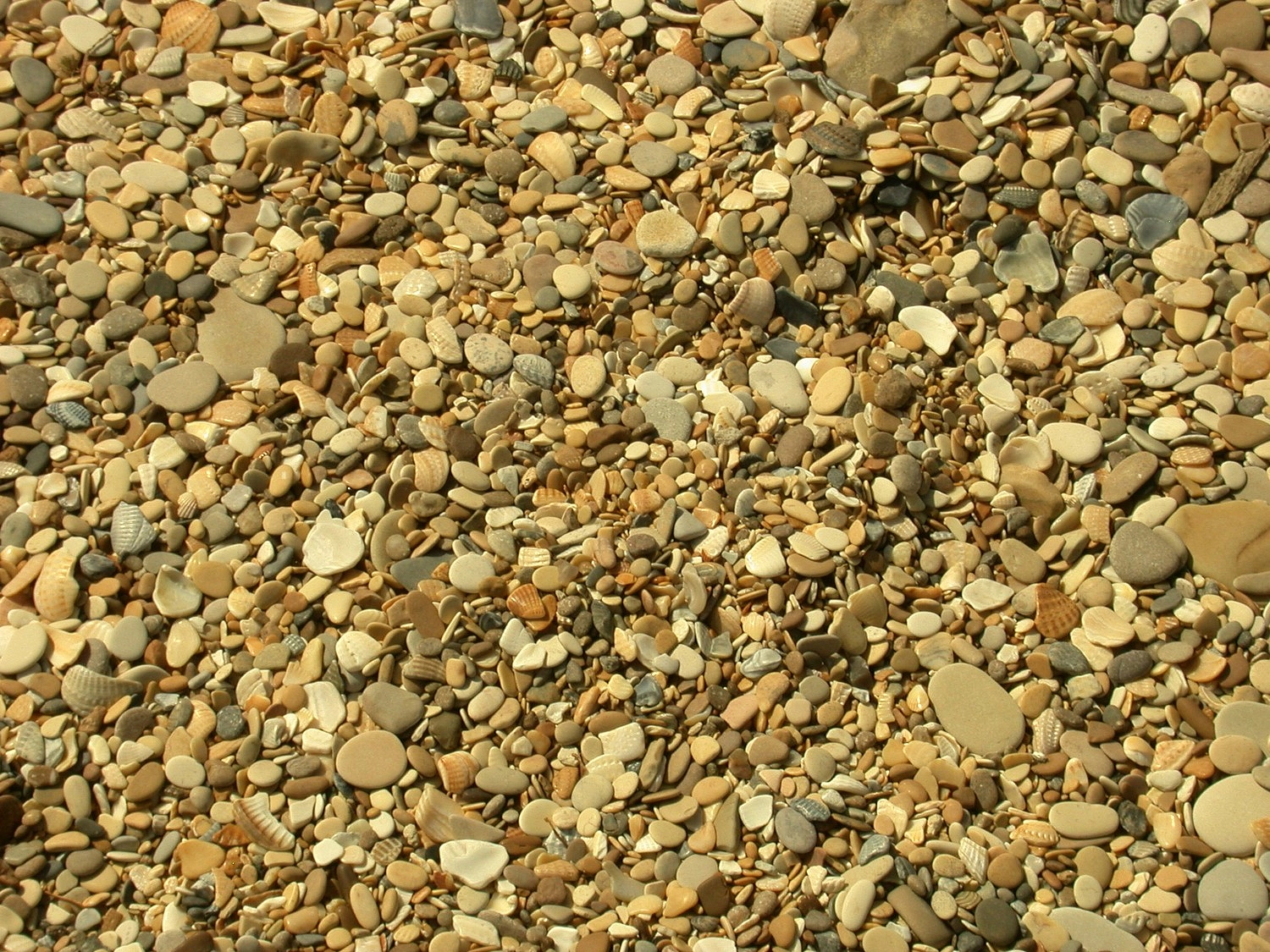 Природная галька 'Каспийская'