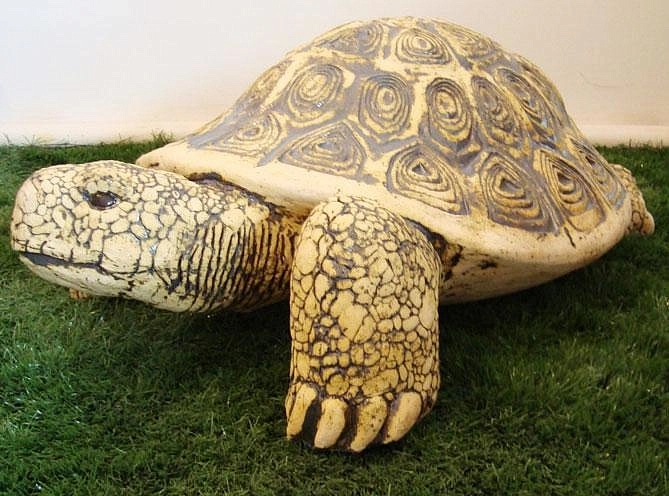 Черепаха большая закрытая