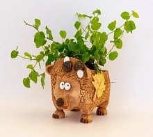 Шамот Кашпо Еж 