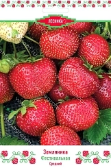 Земляника (клубника) 'Фестивальная'