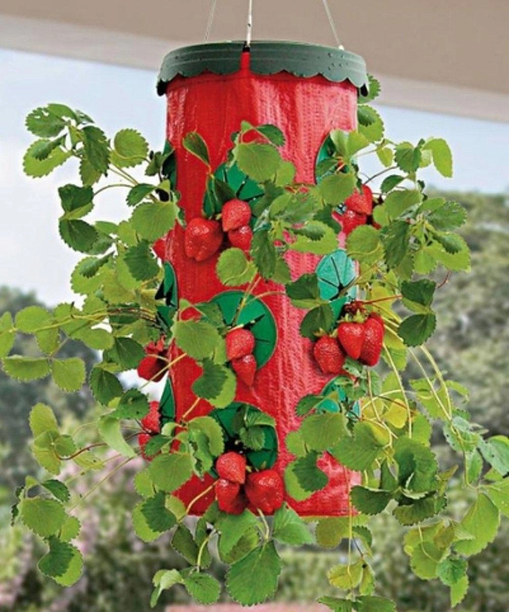 Подвесная грядка для выращивания клубники