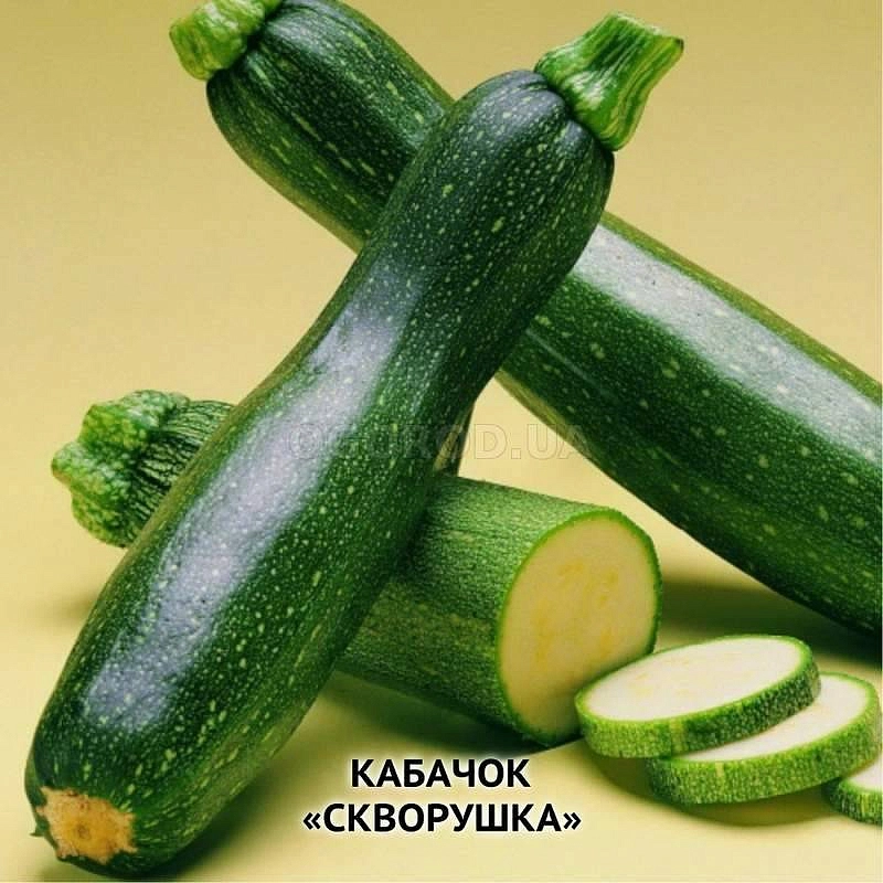 Кабачок 'Скворушка'