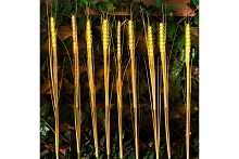 Светильники UNIEL USL-S-817/PT800 CORN КОЛОСЬЯ