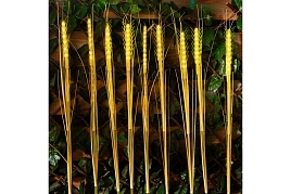 Светильники UNIEL USL-S-817/PT800 CORN КОЛОСЬЯ