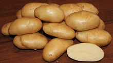 Картофель семенной ФРИТЕЛЛА (суперэлита) 