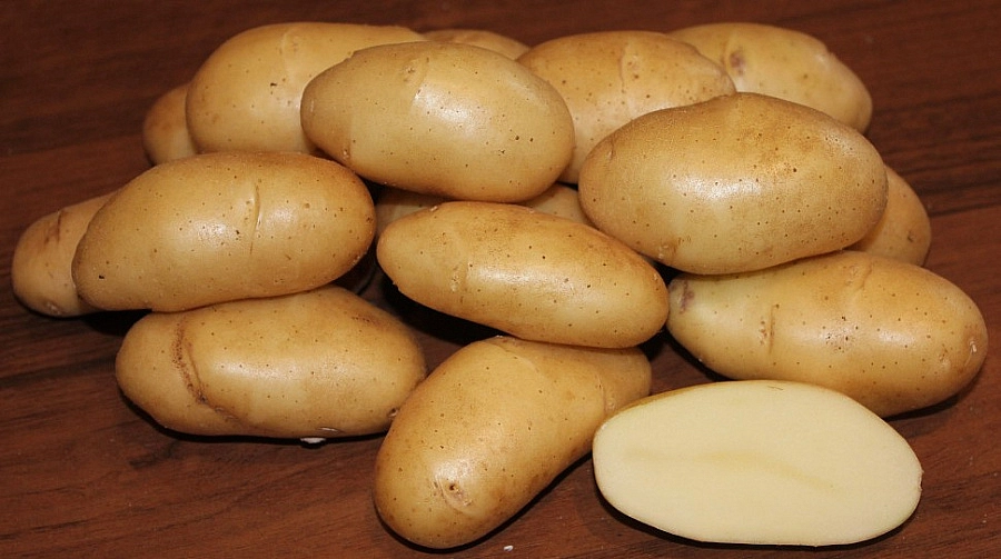 Картофель семенной ФРИТЕЛЛА (суперэлита) 