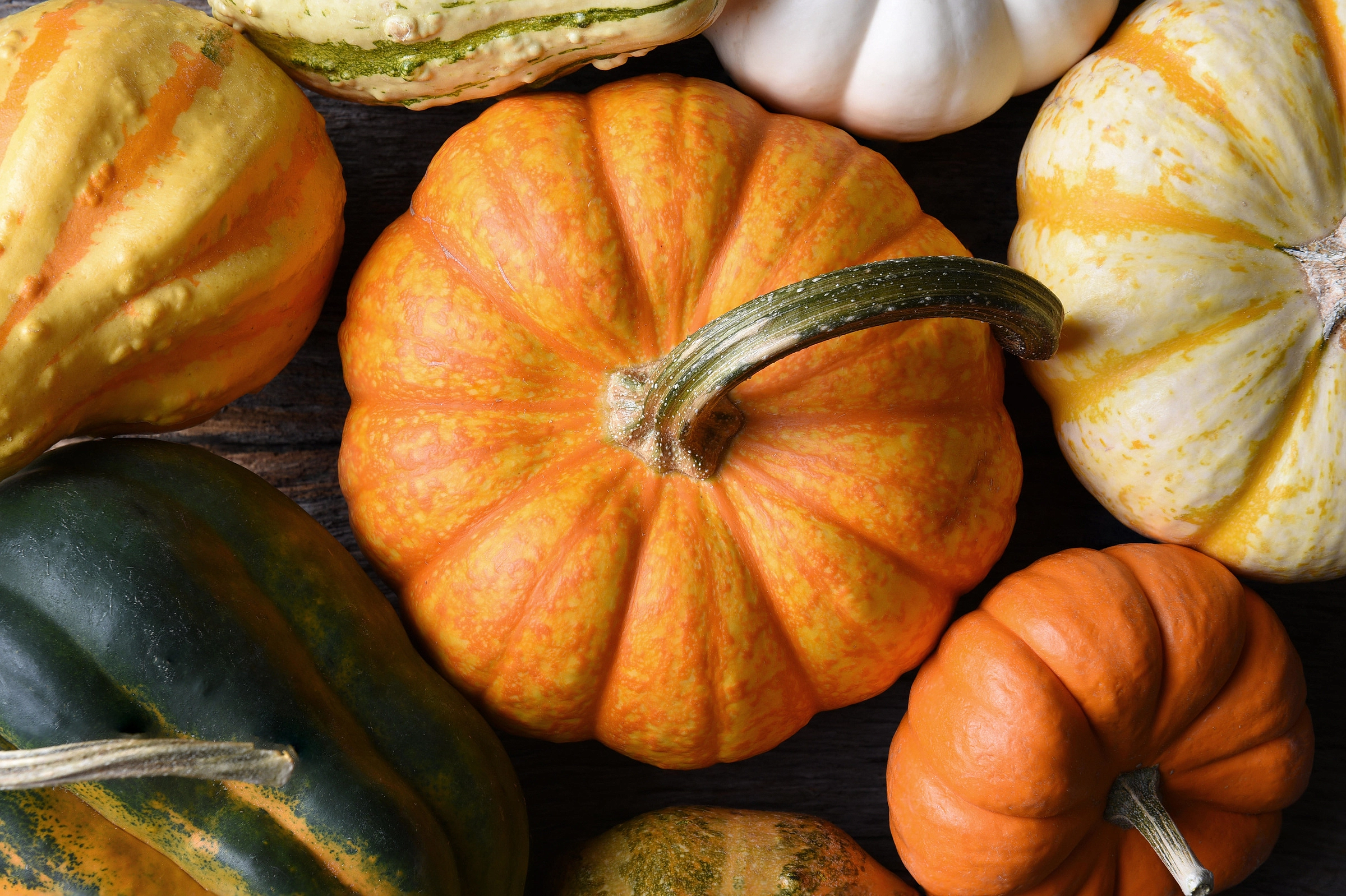 Тыква 'Мускатная'