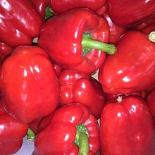 Перец сладкий 'Солист'