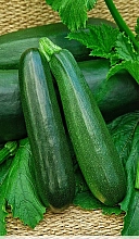 Кабачок 'Аэронавт'