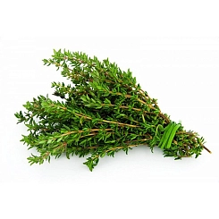 Семена Тимьян