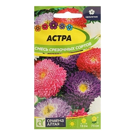 Семена Астра