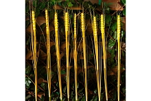 Светильники UNIEL USL-S-817/PT800 CORN КОЛОСЬЯ