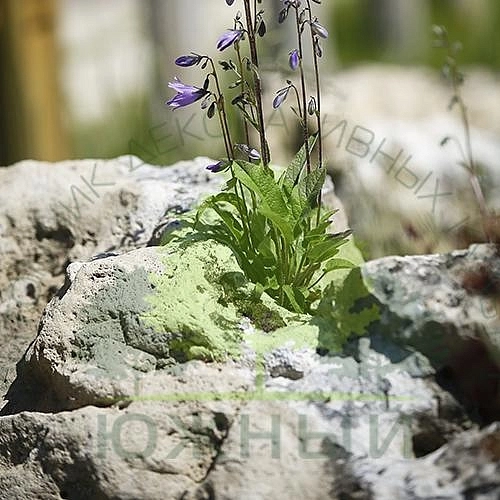 Камень Валун Большой