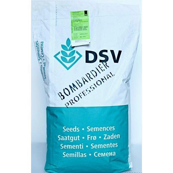 Газон Бомбардир, DSV