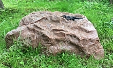 Камень декоративный Ящерица (Камница) d55