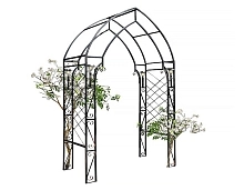 Арка 863-08R (Айронкр)