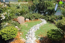 №6. Миронов Дмитрий