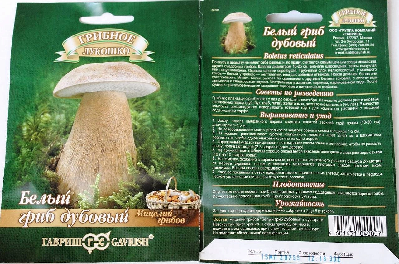 Семена Мицелий грибов 