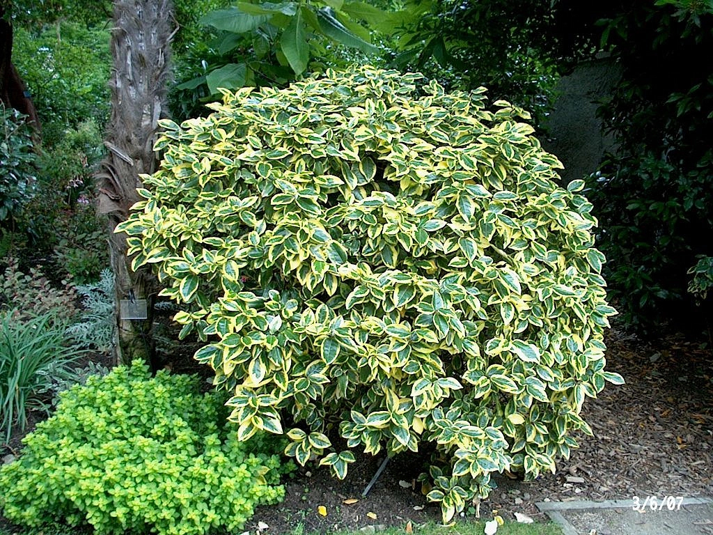 Лох Эббинге