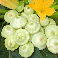 Патисcон 'Чебурашка'