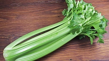 Сельдерей