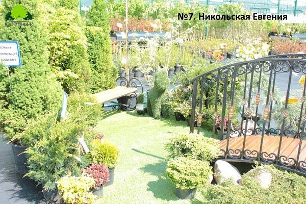№7. Никольская Евгения