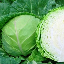Капуста белокочанная 'Июньская'