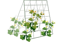 Шпалера для огурцов 1,8*1,8м ВЕРМИ