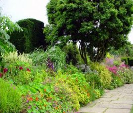 Изучение характеристик растений